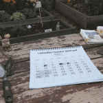 Calendrier lunaire 2025 pdf : planning pour les travaux de jardinage domestique