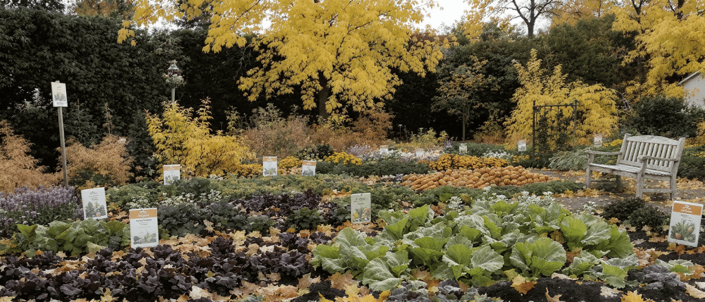 d&eacute;couvrez nos conseils pratiques pour r&eacute;ussir vos semis et plantations en automne. pr&eacute;parez votre potager pour une saison florissante gr&acirc;ce &agrave; ce guide complet d&eacute;di&eacute; au jardinage automnal.