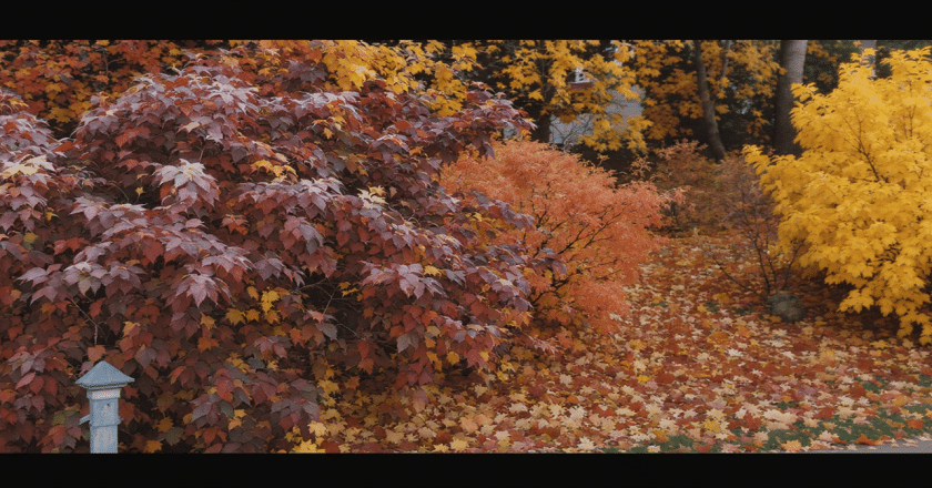 Guide des arbustes à tailler en automne : conseils pour un jardin épanoui