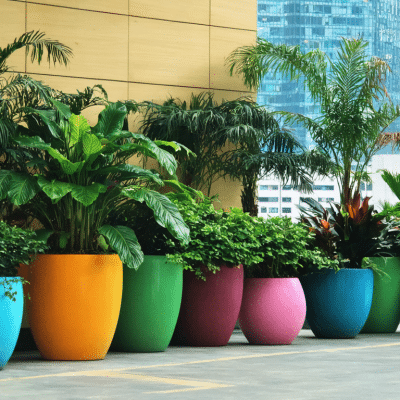 Pots XXL et plantes graphiques : composer une scène exotique en ville
