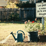 Règles locales en cas de sécheresse : restrictions usuelles et alternatives d’arrosage