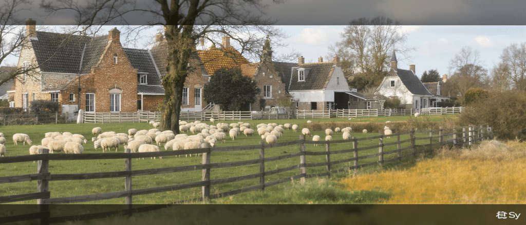 d&eacute;couvrez l'&eacute;tonnante transformation d'une ferme de berger en flandre et plongez dans un voyage hors du commun m&ecirc;lant tradition et modernit&eacute;.