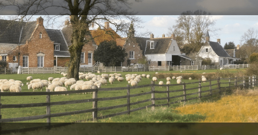 La étonnante transformation d’une ferme de berger en Flandre : un voyage hors du commun