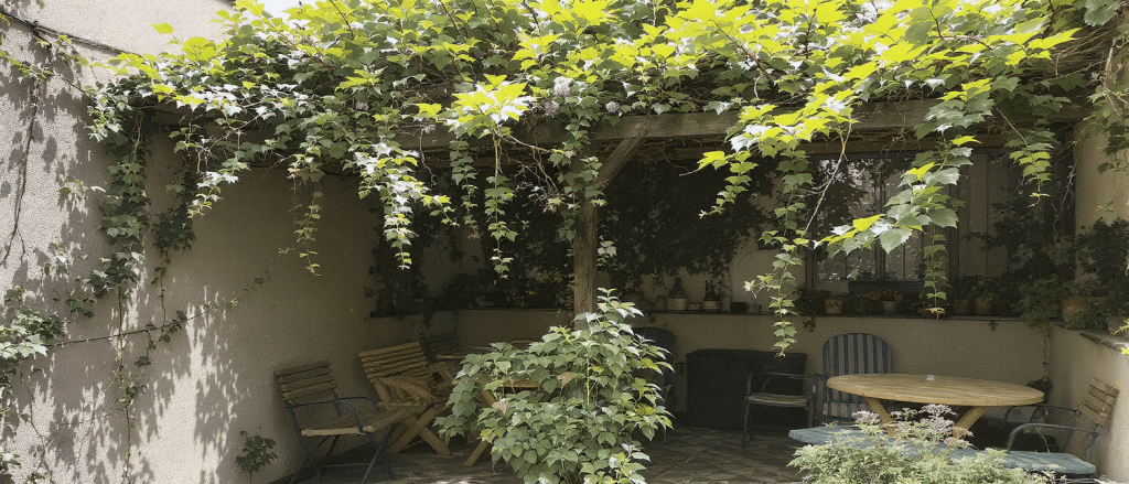 d&eacute;couvrez les meilleures plantes grimpantes pour cr&eacute;er une ombre naturelle agr&eacute;able sur votre terrasse ou balcon et profiter de moments fra&icirc;cheur en plein air.