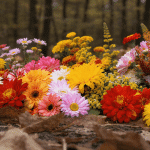 Les 10 fleurs éclatantes qui illuminent l’automne